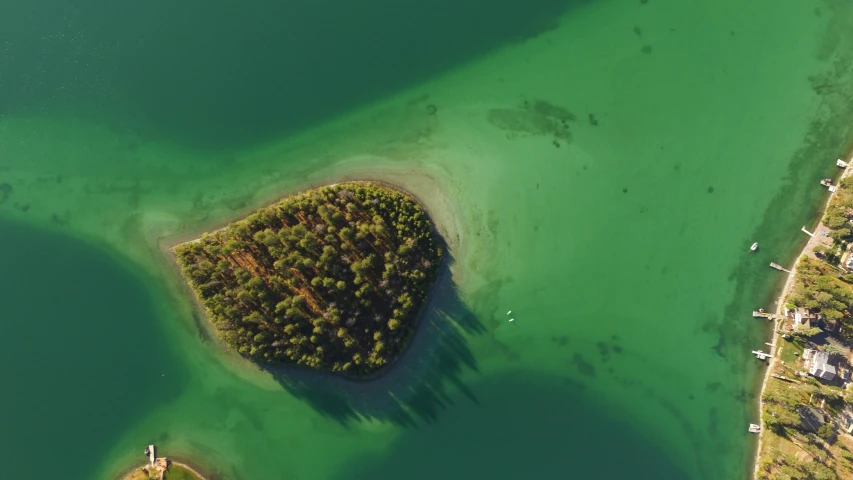 an island with green algae in the middle of water