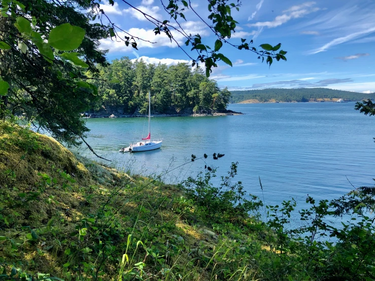 a small boat floating in the lake on a sunny day