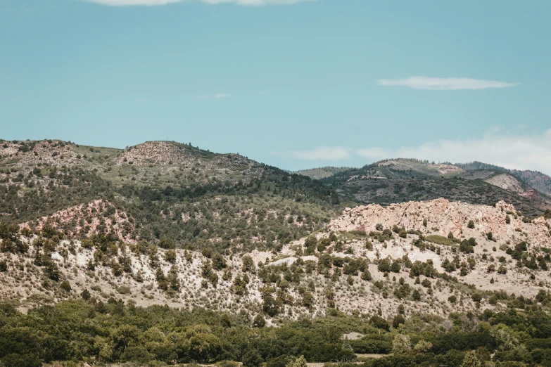 the top of a mountain covered in bushes