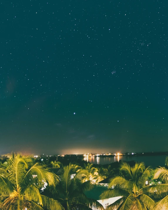 night skies over small town with palm trees