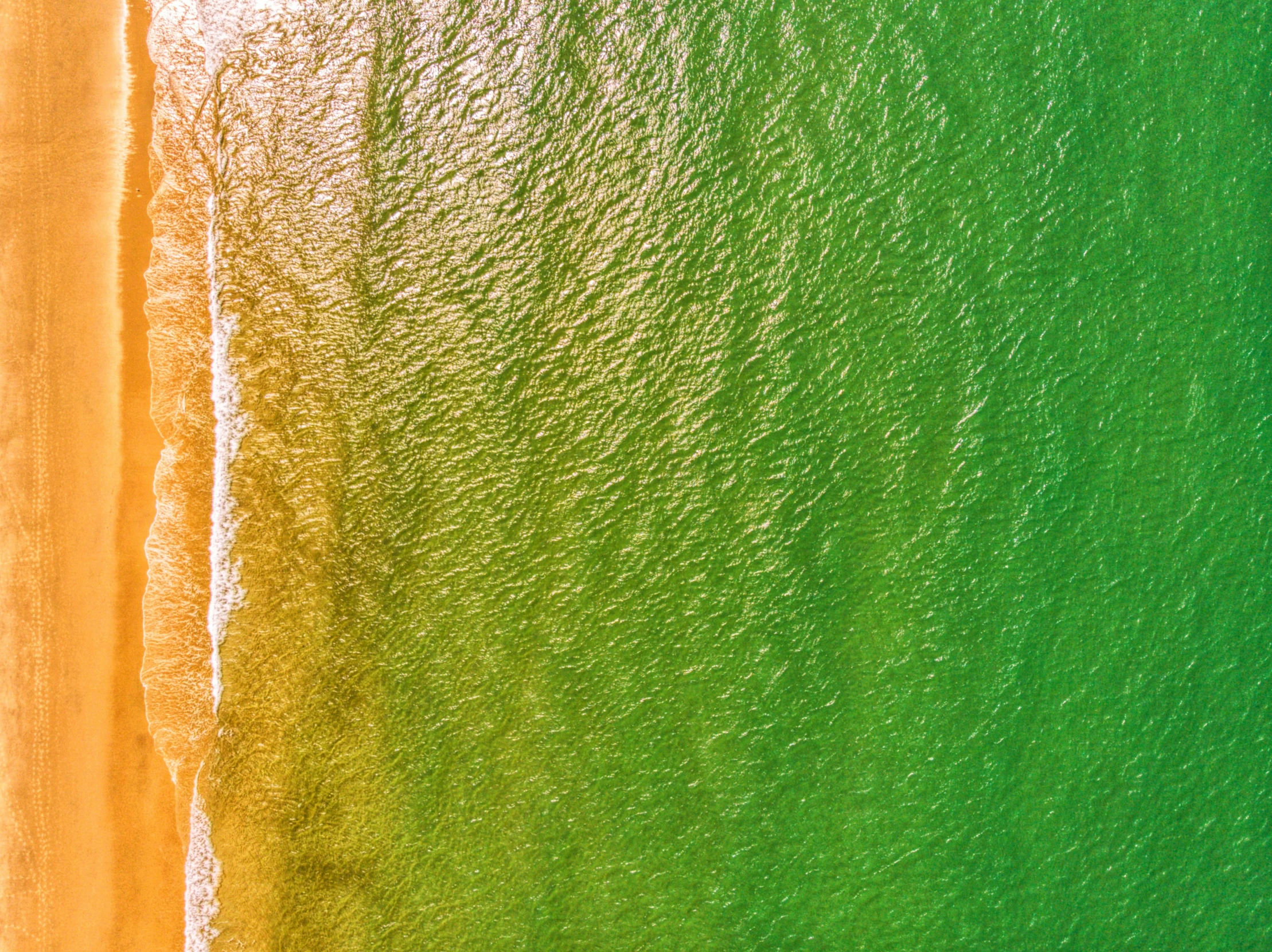 a view from the air of the beach near green water and orange sand