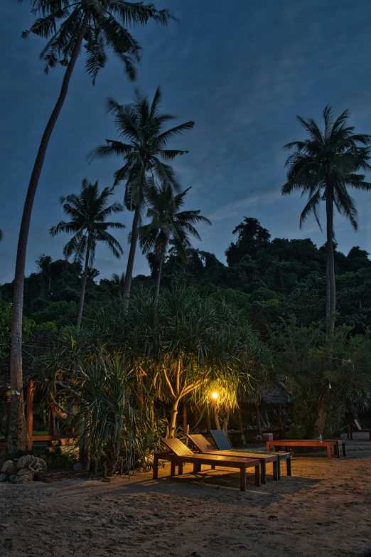 several benches near trees with the lights on