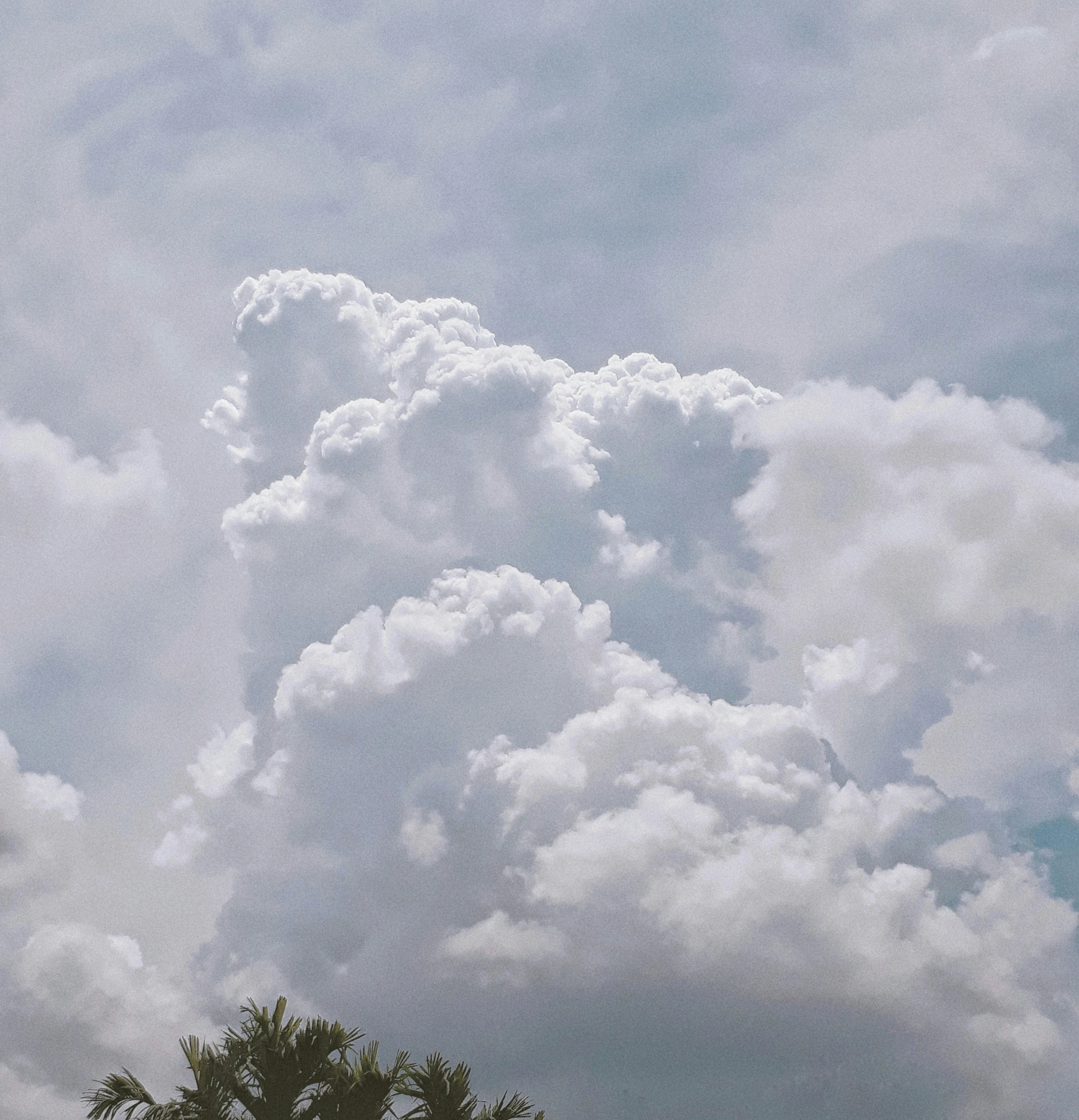 a person looking up at a large cloud filled sky