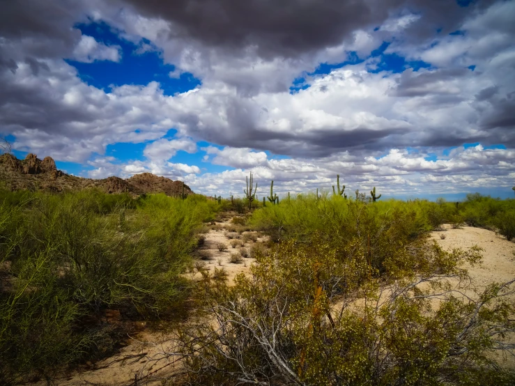 a po of a desert with no people in it