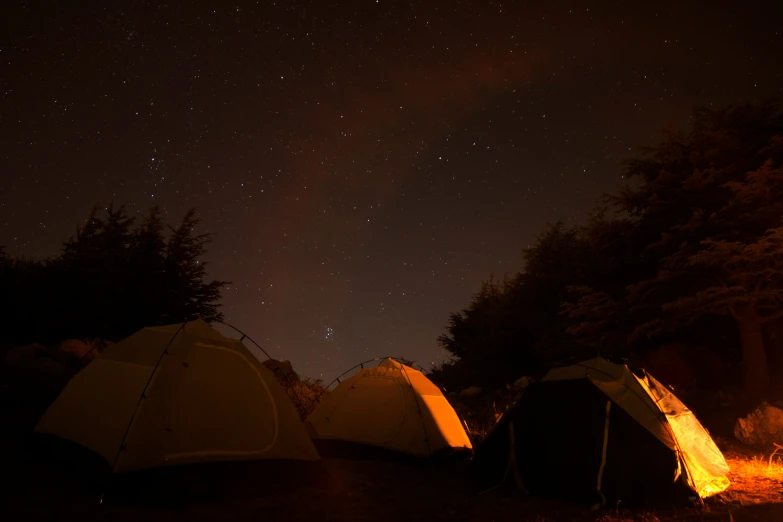 a number of tents sitting in a field with trees