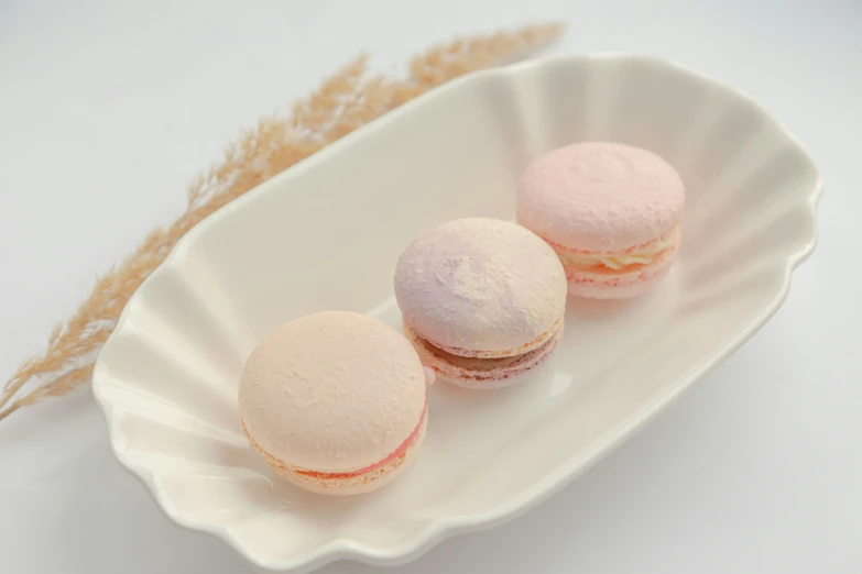 three pastries sit on a white serving dish