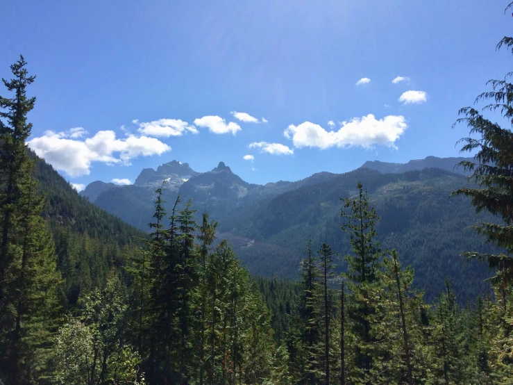 mountains are in the distance surrounded by tall trees