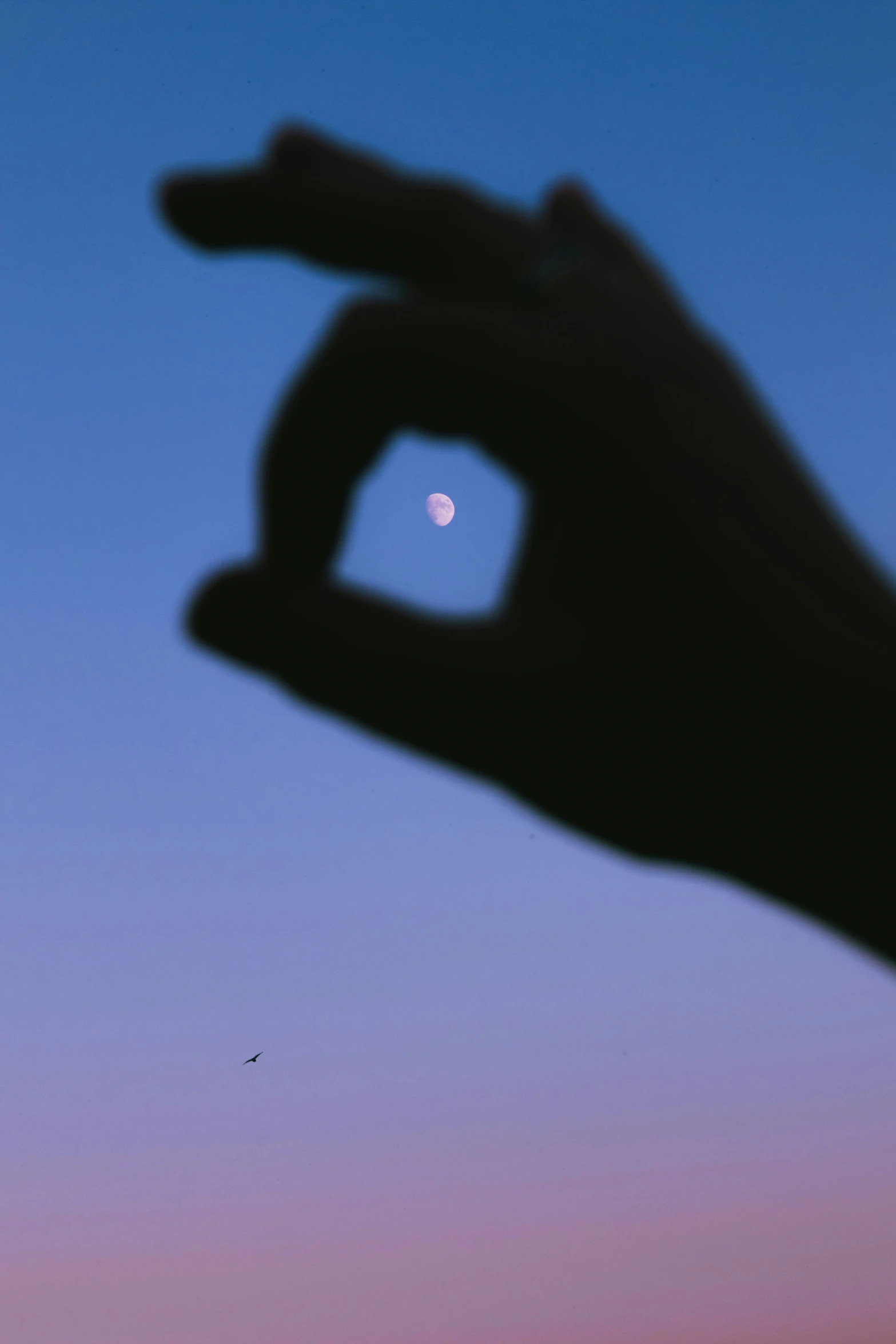 the po of the sky and a hand holding a object