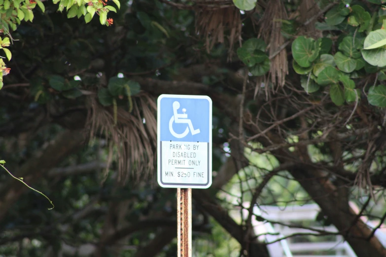an accessible sign on the side of a road next to trees