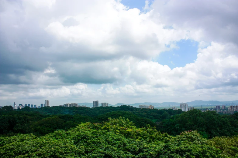 a green field surrounded by trees and tall buildings