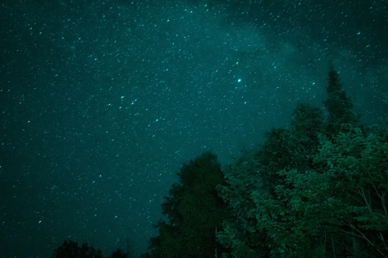 the night sky is lit up and dark with green foliage