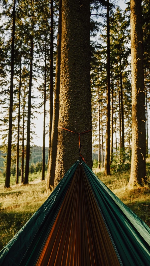 a blue and red hammock is in front of some trees