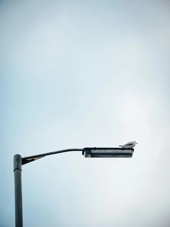 two street lights are showing on a sunny day