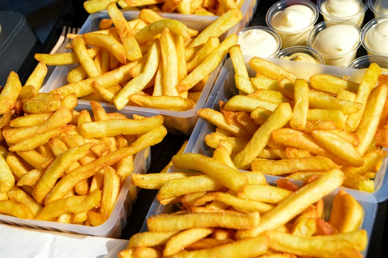 containers with french fries in them and yogurt in the background