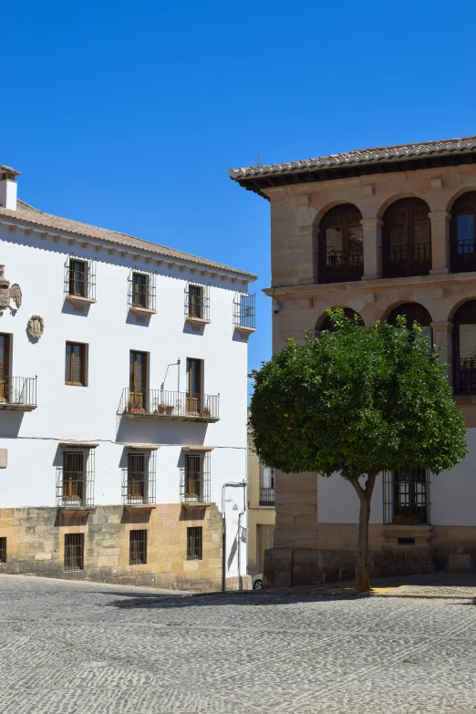 a white building next to an old tree