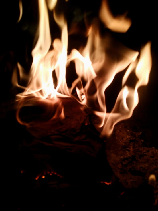 close up of fire, flames and flame on the side of a rock