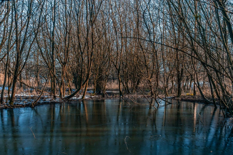 this is the image of water surrounded by snow