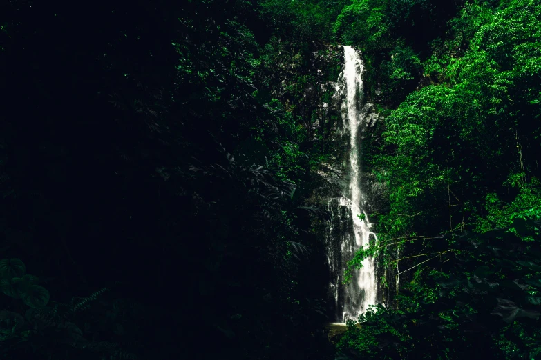 some trees and a water fall with some white lights