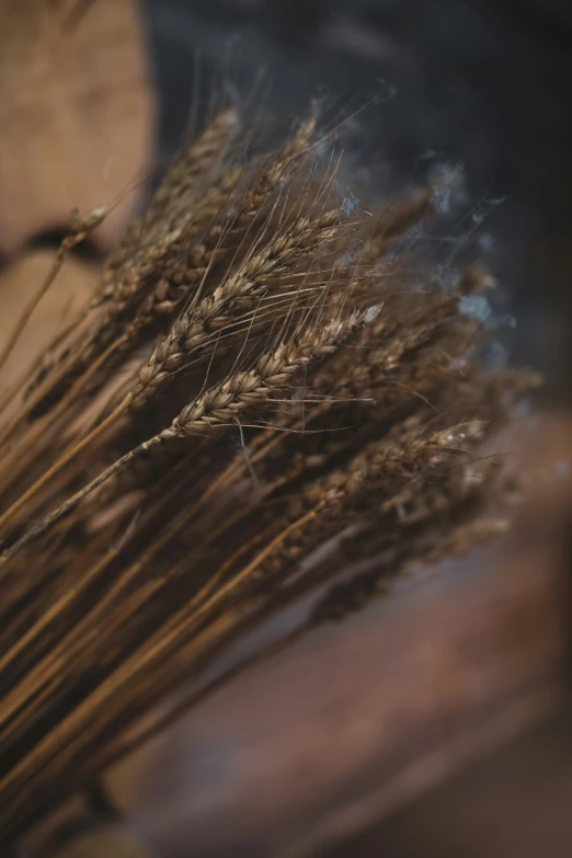 wheat stalks sit on top of a piece of wood