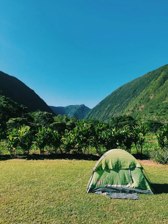 there is a green tent set up on the grass