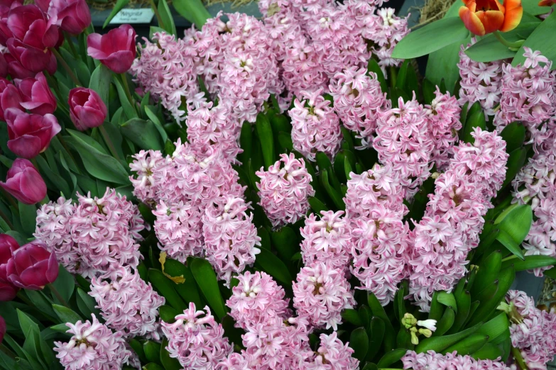 many different types of flowers in a bouquet