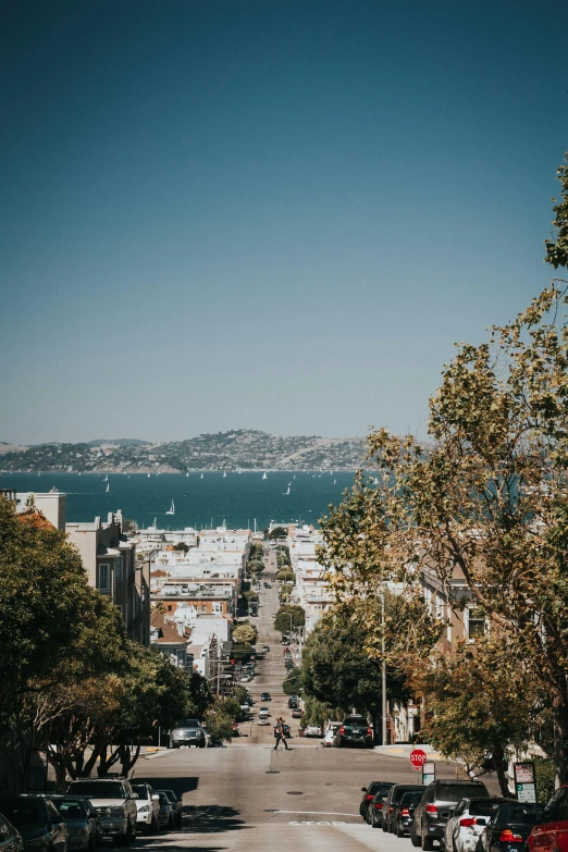 a road is seen through some trees and with a view of a body of water in the background