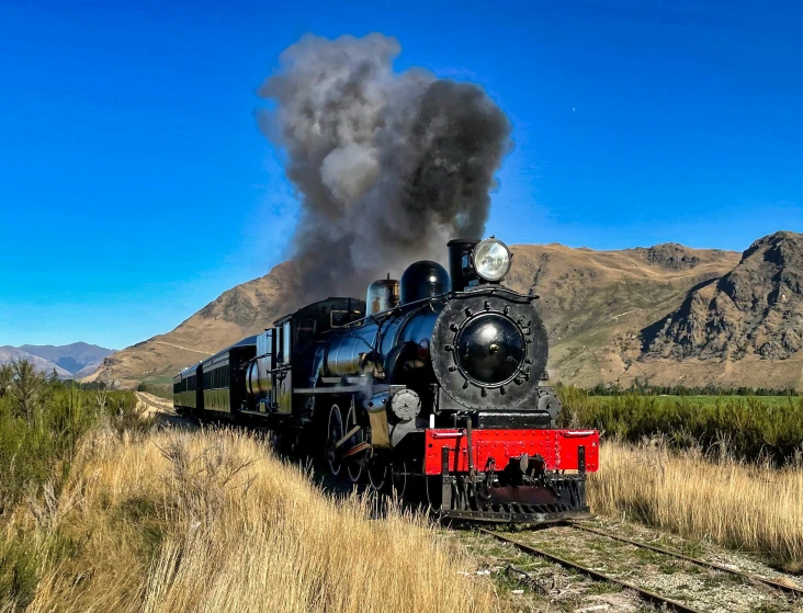 a black train that is in the middle of grass