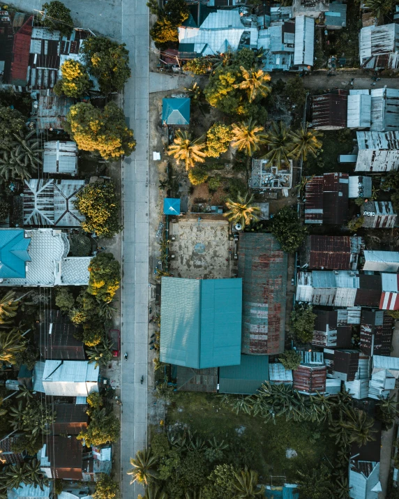 aerial view of a town and road with trees on the side