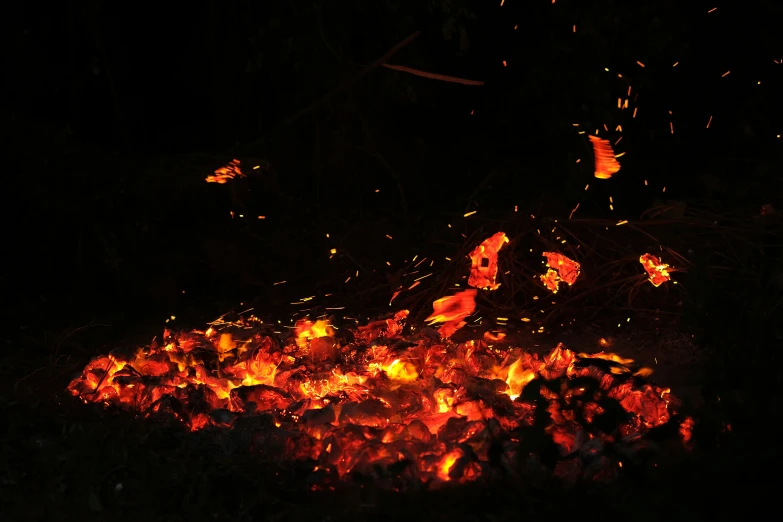 a bright orange substance floating in the air near some plants