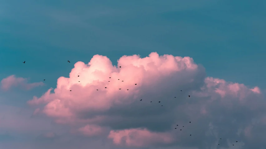 there is a pink cloud and the sky is very blue