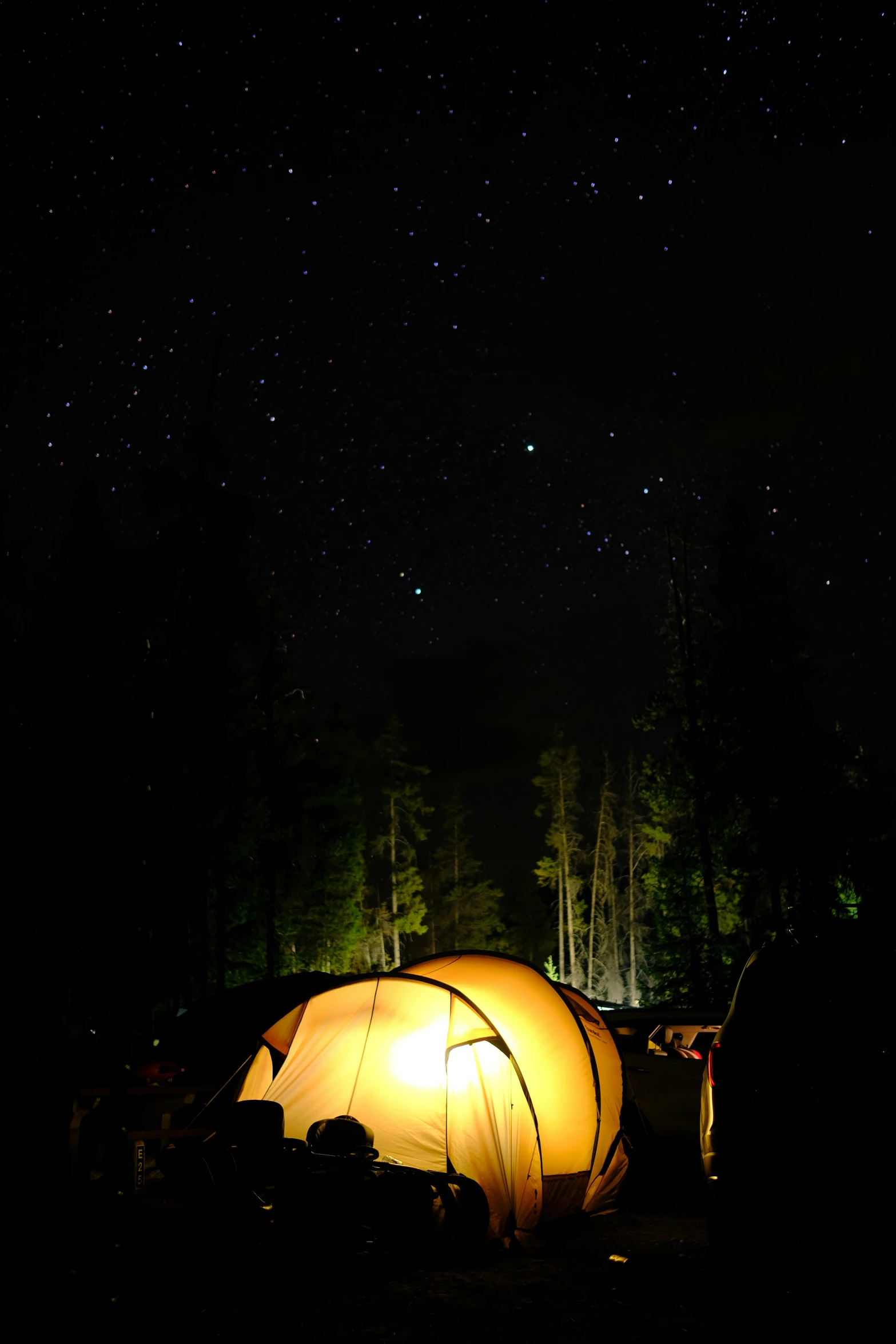 a yellow lit up tent in the middle of the forest