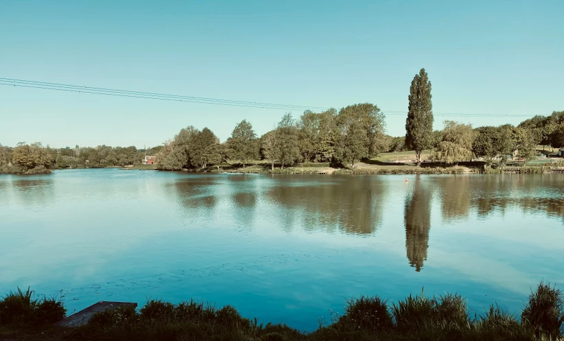 an image of a scenic river with trees