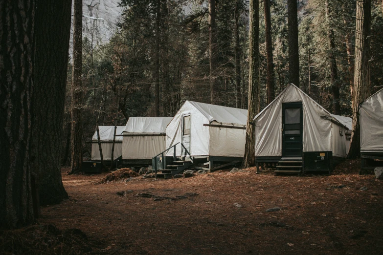 two tents in the middle of the woods