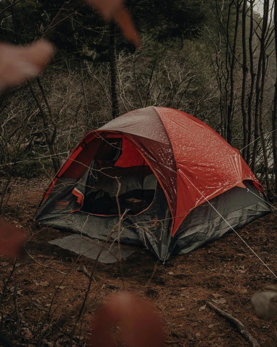 a tent that is sitting in the woods