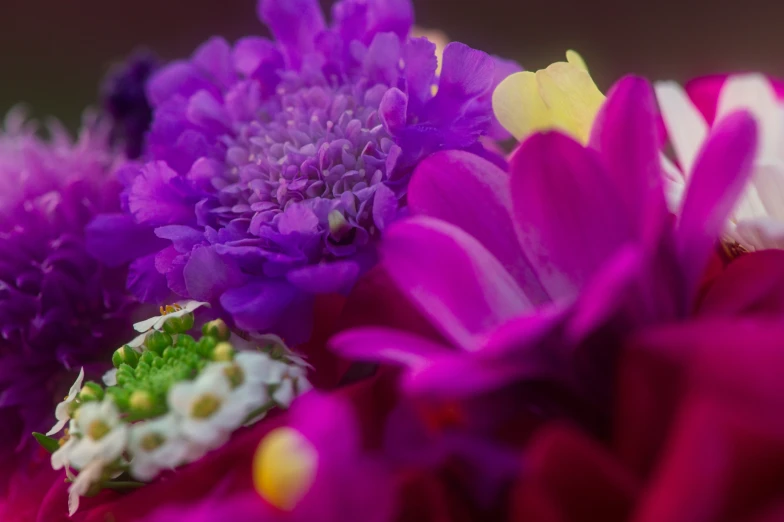 a bouquet of flowers sitting on top of a counter