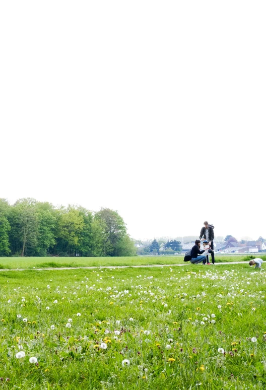 people sitting in the park while they eat an arrangement