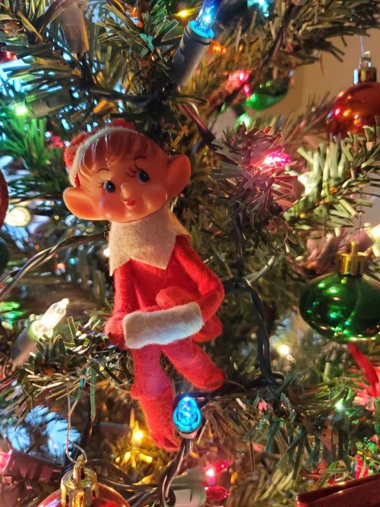 a red and green christmas ornament is attached to a tree