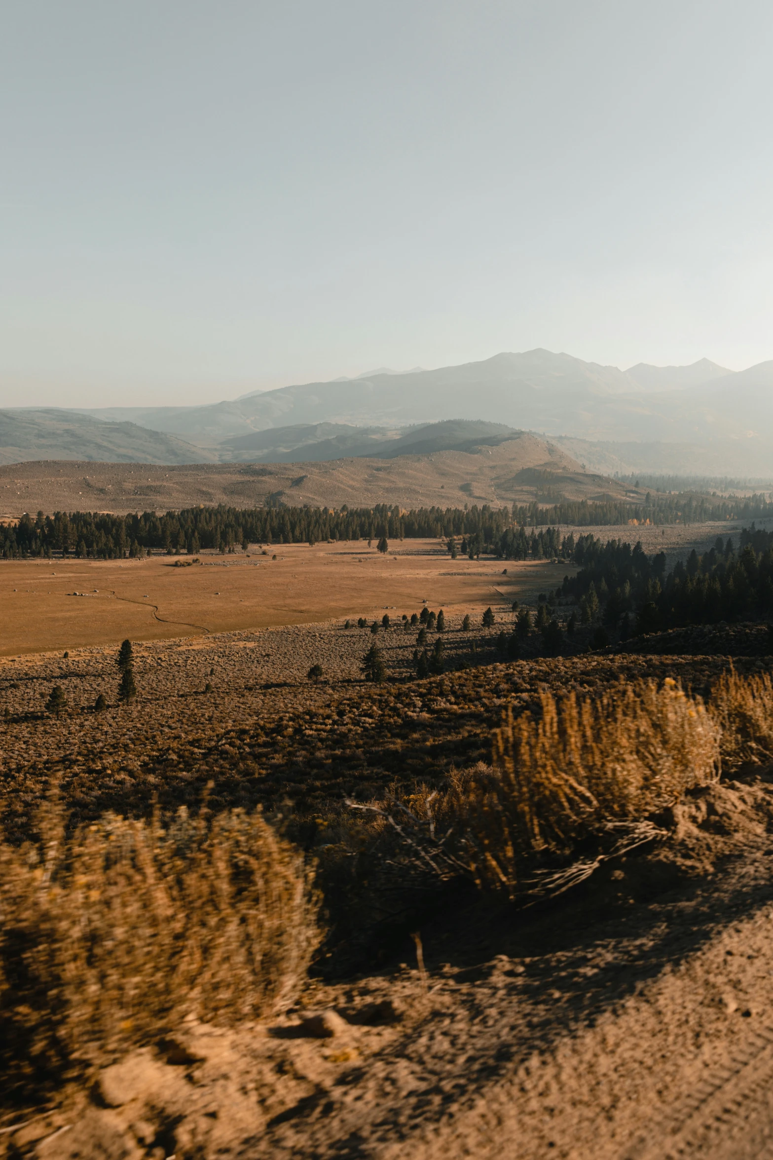 an area with a grass and dirt field