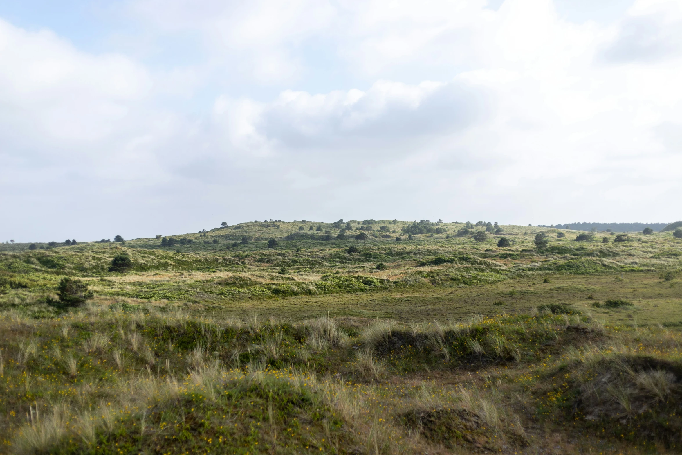 a landscape po taken from the side of the road