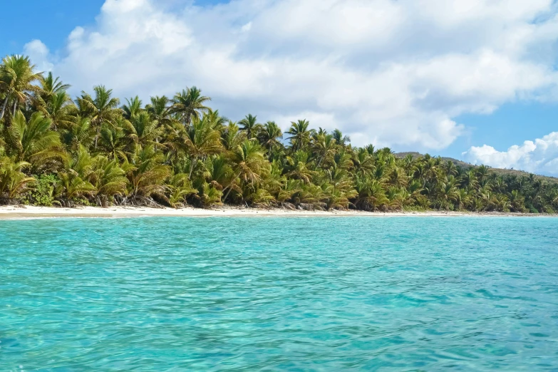 a blue ocean with palm trees in the distance