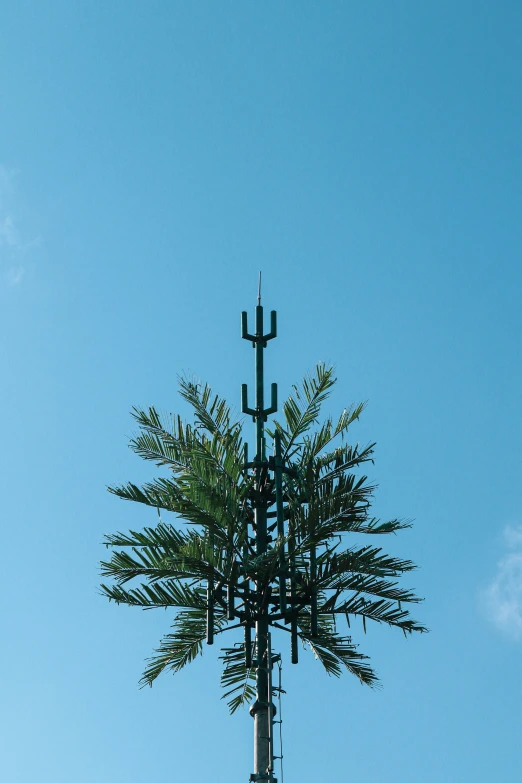 an outdoor clock is surrounded by trees and clear blue sky