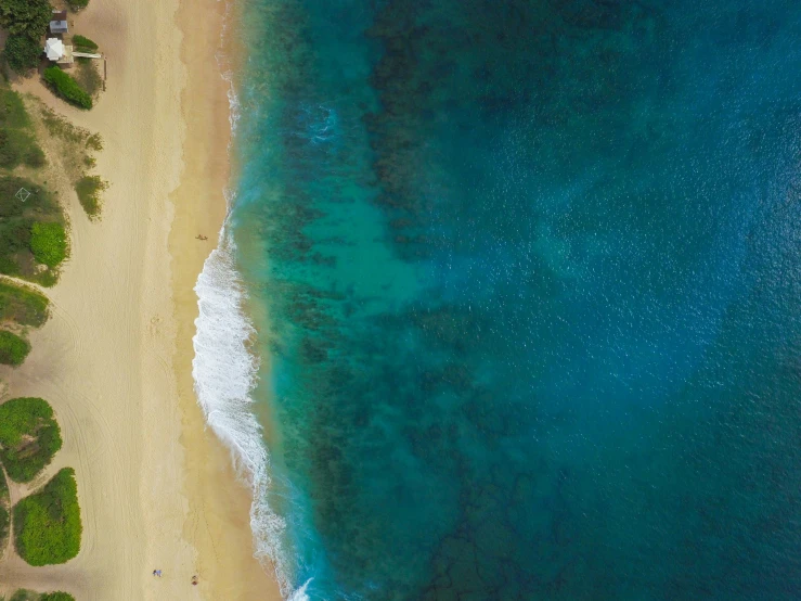 a beach next to the ocean with a lush green forest