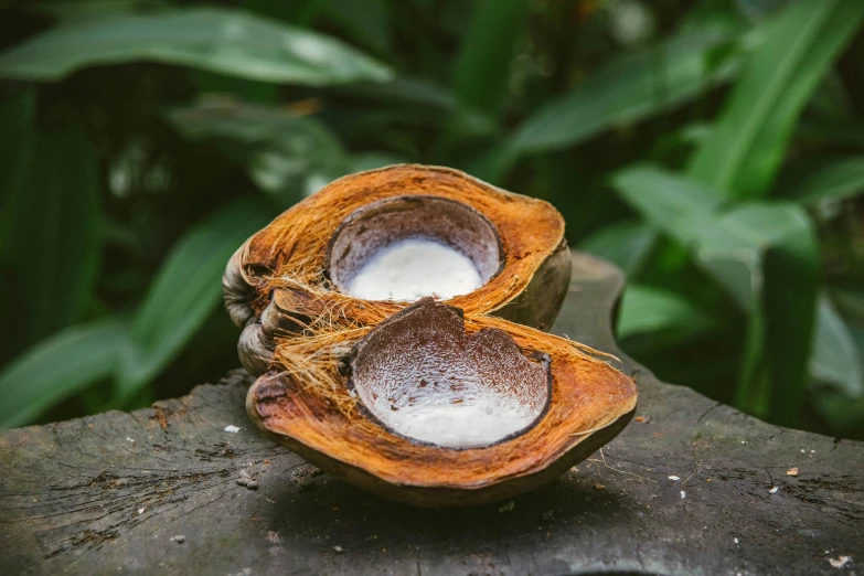 two nuts with sugar on top of them