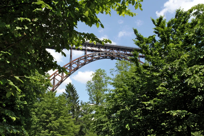 a train bridge spanning the width of a forest