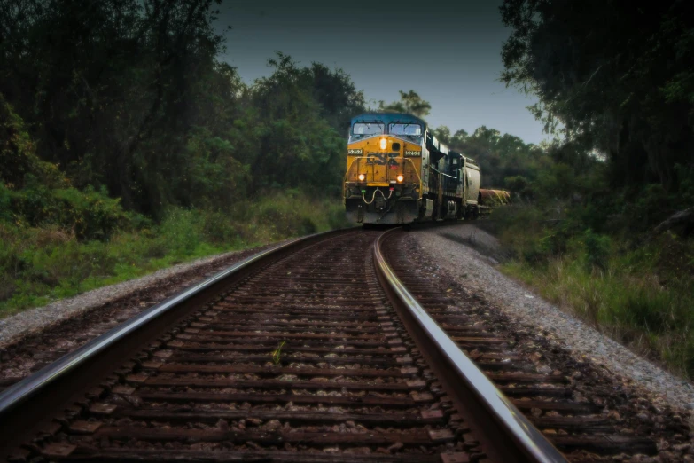 a train with its lights on travels along the tracks