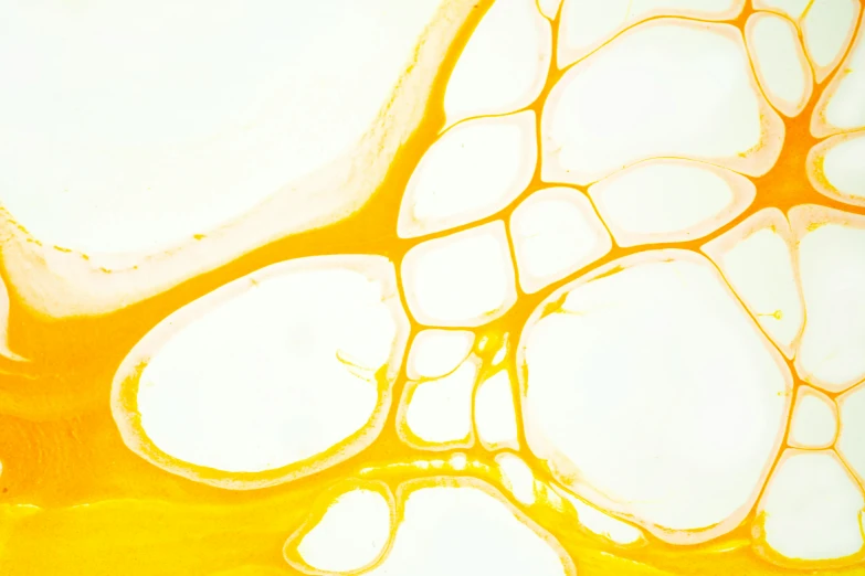 oil and liquid mixing into shapes in the image