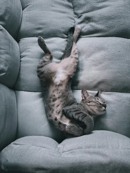 a cat rolling around in the middle of a sofa