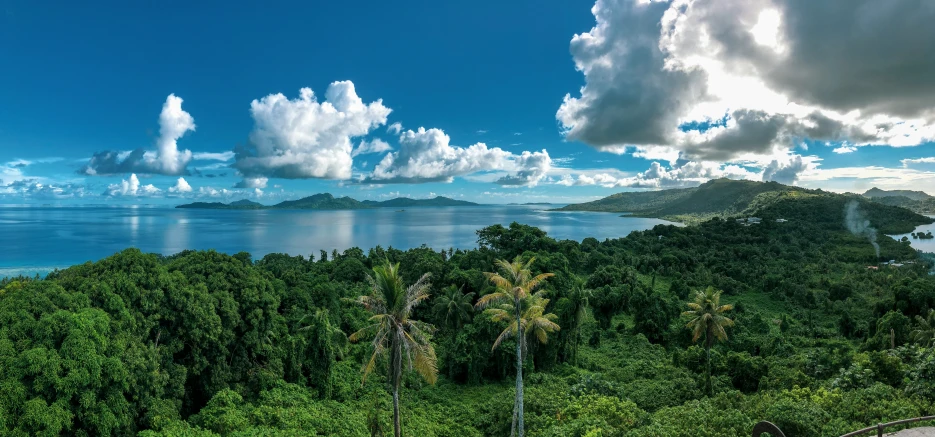 a scenic overlook over the forest of a tropical island