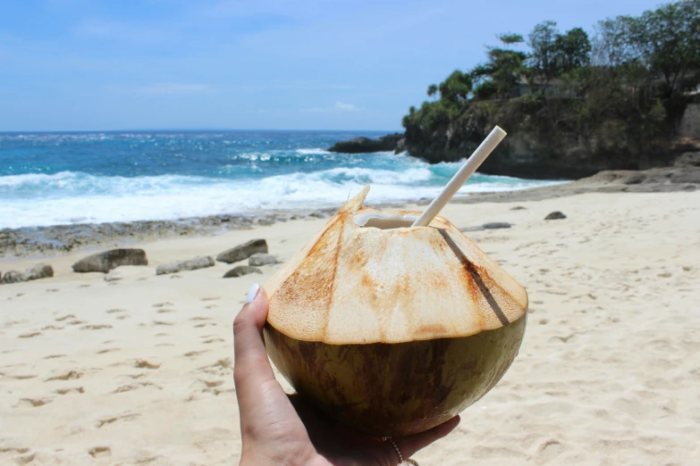 someone holds a coconut on the beach with a blue ocean