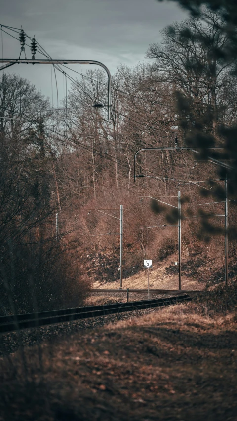 railroad track with a train passing by trees